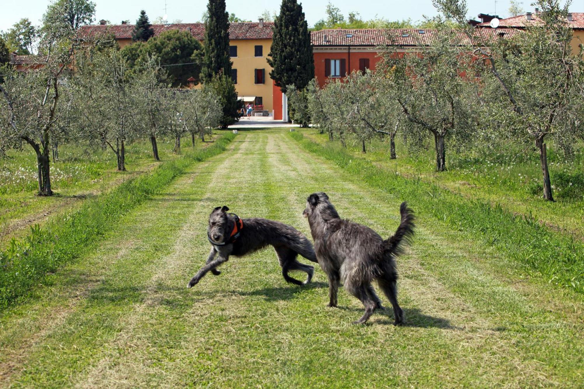 Agriturismo La Filanda Манерба дел Гарда Екстериор снимка